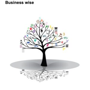 Mastering the Code: Business Wise